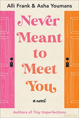 Never Meant to Meet You: A Novel - Alli Frank [KSIĄŻKA]