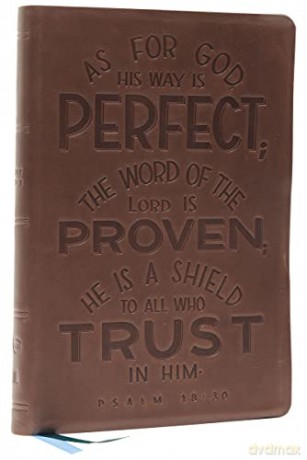 NKJV, Thinline Bible, Verse Art Cover Collection, Genuine Leather, Brown, Red Letter, Comfort Print: Holy Bible, New King James Version - Bibles - Thomas Nelson [KSIĄŻKA]