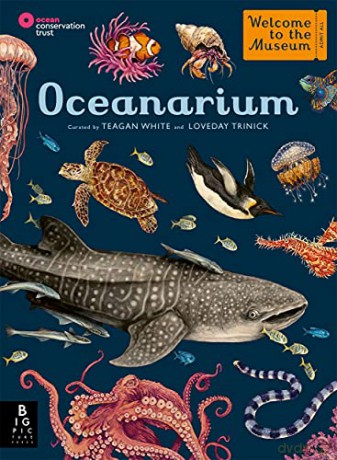 Oceanarium: by Loveday Trinick (Author), Teagan White (Illustrator) (Welcome To The Museum) - Loveday Trinick [KSIĄŻKA]
