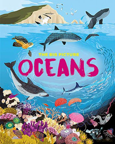 Oceans (The Big Picture) - Jon Richards [KSIĄŻKA]