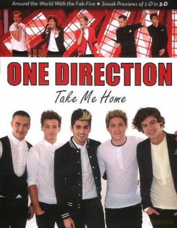 One Direction: Take Me Home - Mary Boone [KSIĄŻKA]