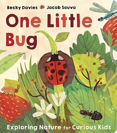 One Little Bug - Becky Davies [KSIĄŻKA]