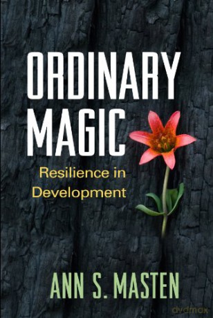 Ordinary Magic: Resilience in Development - Ann S. Masten [KSIĄŻKA]
