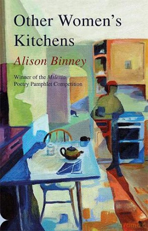 Other Women's Kitchens - Binney [KSIĄŻKA]