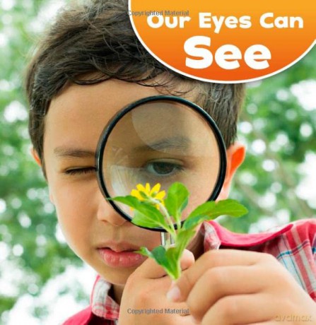 Our Amazing Senses: Our Eyes Can See - Jodi Lyn Wheeler-Toppen [KSIĄŻKA]