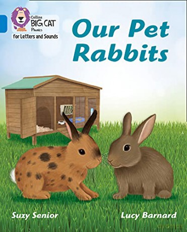 Our Pet Rabbits: Band 04/Blue (Collins Big Cat Phonics for Letters and Sounds) - Suzy Senior [KSIĄŻKA]