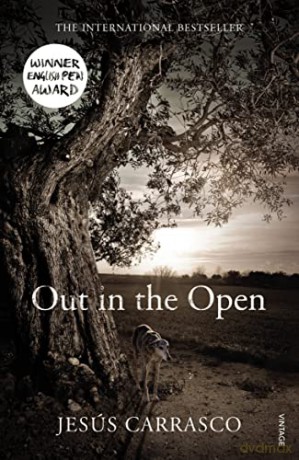 Out in the Open - Jesús Carrasco [KSIĄŻKA]