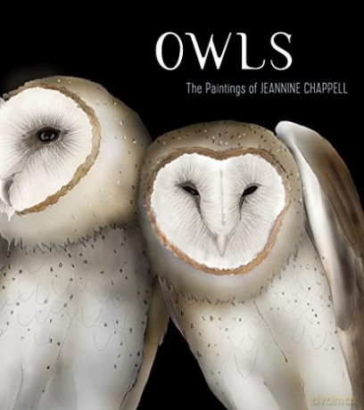 Owls: The Paintings of Jeannine Chappell [KSIĄŻKA]