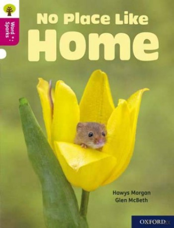 Oxford Reading Tree Word Sparks: Level 10: No Place Like Home - Hawys Morgan [KSIĄŻKA]