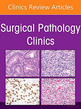 Pancreatobiliary Pathology, An Issue of Surgical Pathology Clinics (Volume 15-3) (The Clinics: Internal Medicine, Volume 15-3) - Aatur D. Singhi MD PhD [KSIĄŻKA]