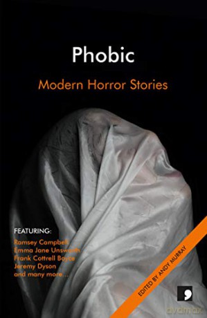 Parenthesis: A New Generation in Short Fiction: Modern Horror Stories (Comma Modern Horror) - Alistair Herbert [KSIĄŻKA]