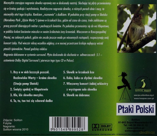 Kraina Sowika: Dolby Surround [CD]