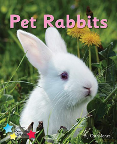Pet Rabbits: Phonics Phase 3 (Reading Stars Phonics) - Cath Jones [KSIĄŻKA]
