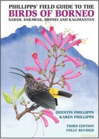 Phillipps' Field Guide to the Birds of Borneo - Quentin Phillipps [KSIĄŻKA]