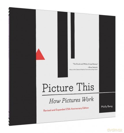 Picture This: How Pictures Work: 1 - Molly Bang [KSIĄŻKA]