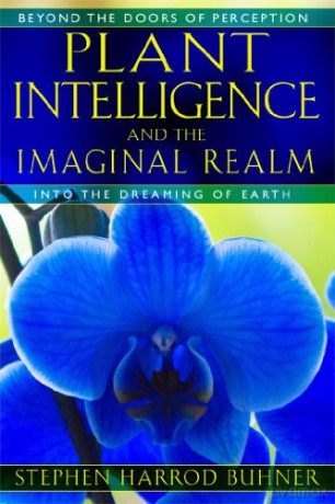 Plant Intelligence And The Imaginal Realm: Beyond the Doors of Perception into the Dreaming of Earth - Stephen Harrod Buhner [KSIĄŻKA]