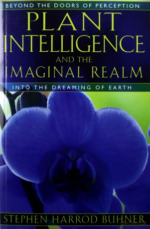 Plant Intelligence And The Imaginal Realm: Beyond the Doors of Perception into the Dreaming of Earth - Stephen Harrod Buhner [KSIĄŻKA]