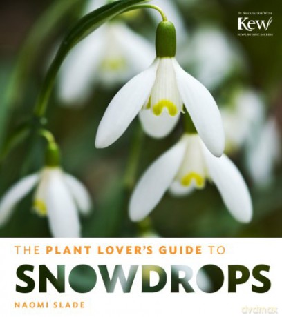 Plant Lover's Guide to Snowdrops (Plant Lover's Guides) - Naomi Slade [KSIĄŻKA]
