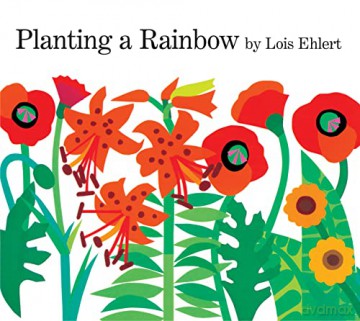 Planting a Rainbow Lap Board Book - Lois Ehlert [KSIĄŻKA]