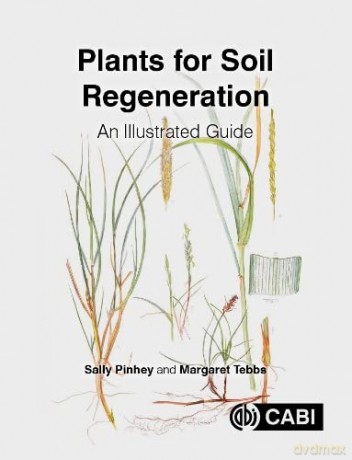 Plants for Soil Regeneration: An Illustrated Guide - Sally Pinhey [KSIĄŻKA]