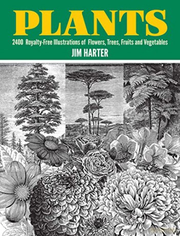 Plants: 2400 Designs (Dover Pictorial Archive) - Jim Harter [KSIĄŻKA]