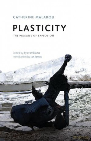 Plasticity: The Promise of Explosion - Catherine Malibou [KSIĄŻKA]