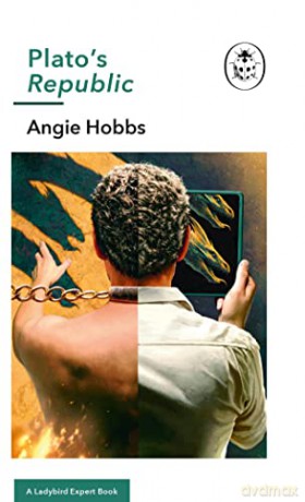 Plato's Republic: A Ladybird Expert Book: 34 (The Ladybird Expert Series, 34) - Angie Hobbs [KSIĄŻKA]