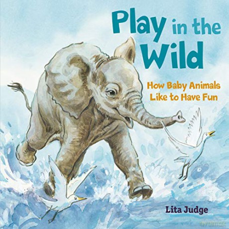Play in the Wild: How Baby Animals Like to Have Fun - Lita Judge [KSIĄŻKA]