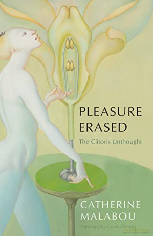 Pleasure Erased: The Clitoris Unthought - Catherine Malabou [KSIĄŻKA]