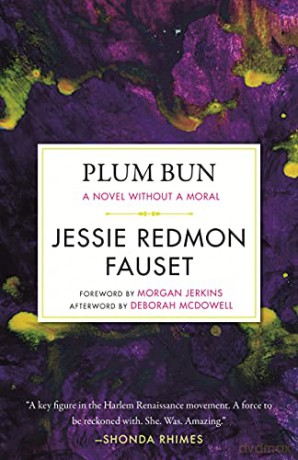 Plum Bun: A Novel without a Moral - Jessie Redmon Fauset [KSIĄŻKA]