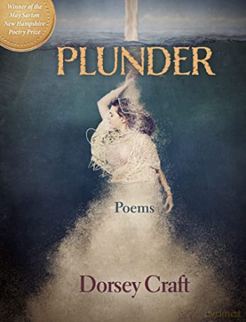 Plunder: Poems - Dorsey Craft [KSIĄŻKA]
