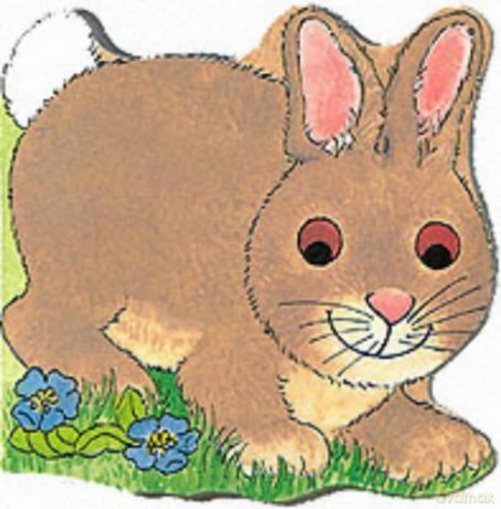 Pocket Bunny (Pocket Pals) - Pam Adams [KSIĄŻKA]