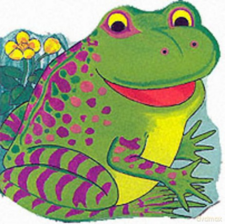 Pocket Frog (Pocket Pals) - Pam Adams [KSIĄŻKA]