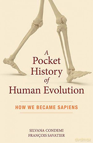 Pocket History of Human Evolution, A: How We Became Sapiens - Silvana Condemi [KSIĄŻKA]