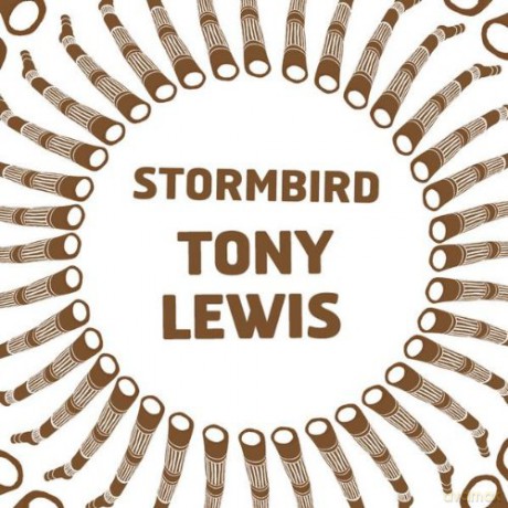 Stormbird: Matthew Doyle: Tony Lewis [CD]