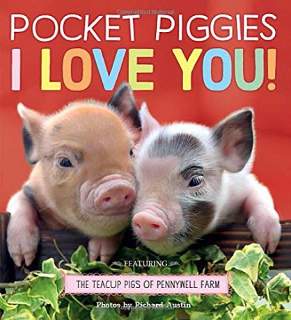 Pocket Piggies: I Love You! (Teacup Pigs of Pennywell Farm) - Richard Austin [KSIĄŻKA]