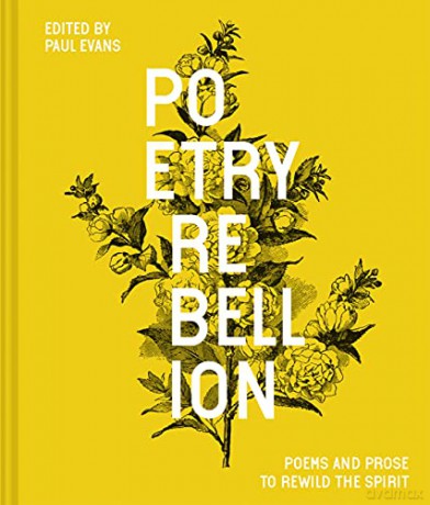 Poetry Rebellion: Poems and prose to rewild the spirit - Paul Evans [KSIĄŻKA]