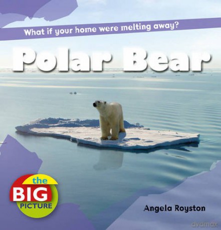 Polar Bear (Big Picture) - Anita Ganeri [KSIĄŻKA]