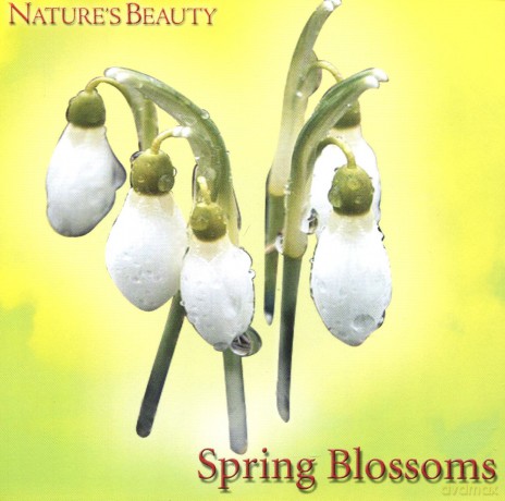 Natures Beauty: Spring Blossoms [CD]