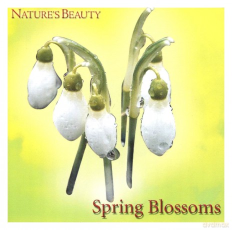 Natures Beauty: Spring Blossoms [CD]