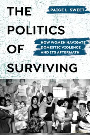 Politics of Surviving: How Women Navigate Domestic Violence and Its Aftermath - Sweet [KSIĄŻKA]