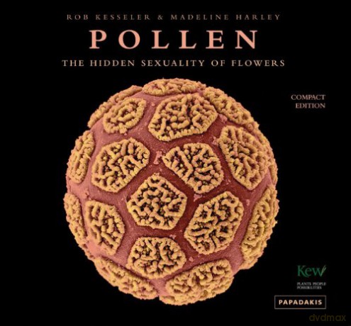 Pollen - The Hidden Sexuality of Flowers (compact edition) - R Kesseler [KSIĄŻKA]