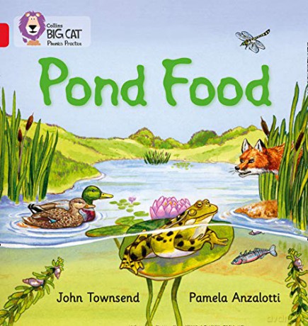 Pond Food: Band 02B/Red B (Collins Big Cat Phonics) - John Townsend [KSIĄŻKA]