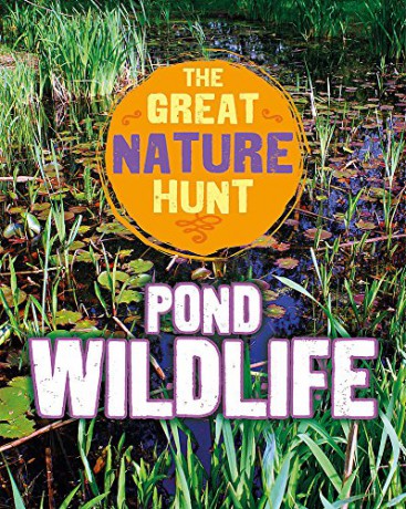Pond Wildlife (The Great Nature Hunt) - Clare Hibbert [KSIĄŻKA]