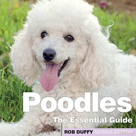 Poodles - Robert Duffy [KSIĄŻKA]