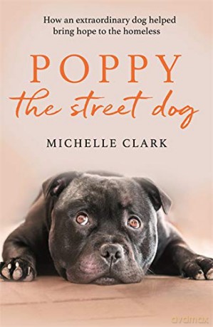 Poppy The Street Dog: How an extraordinary dog helped bring hope to the homeless - Michelle Clark [KSIĄŻKA]