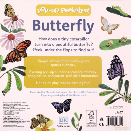 Pop-Up Peekaboo! Butterfly [KSIĄŻKA]