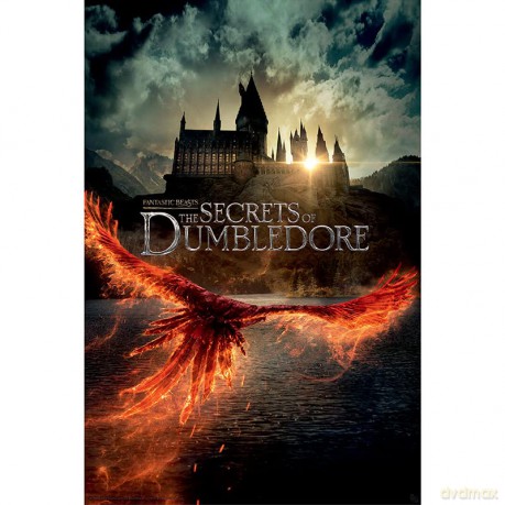 FANTASTIC BEASTS - plakat Movie plakat (91.5x61)