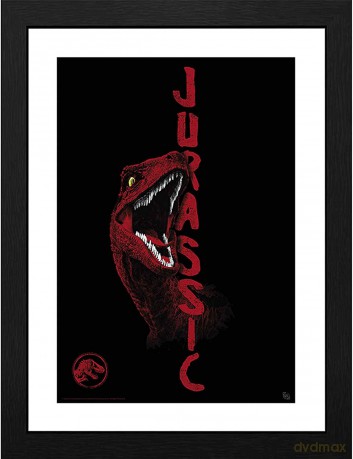 JURASSIC WORLD - Framed print Raptor (30x40)