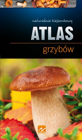 Atlas grzybów [KSIĄŻKA]